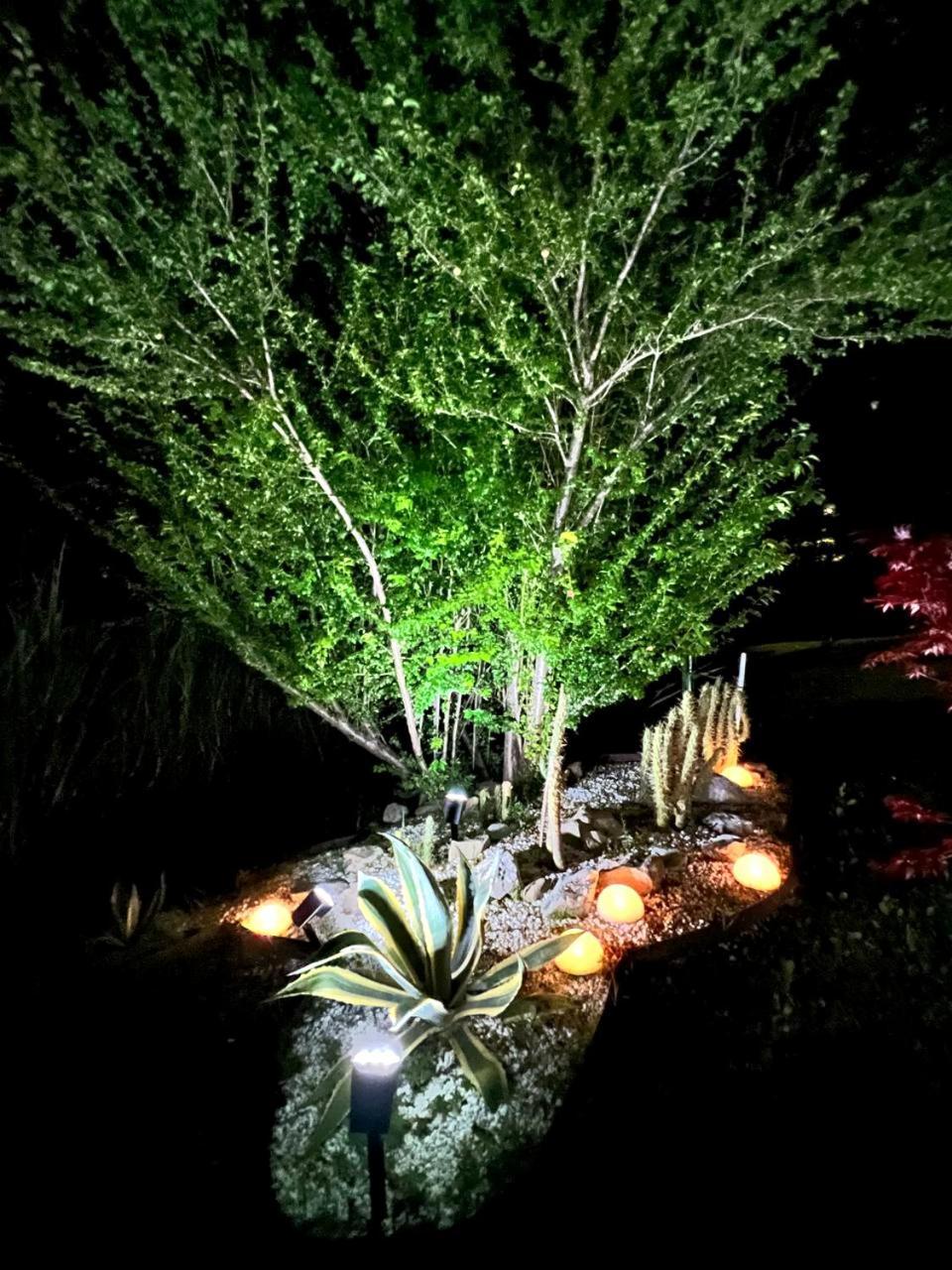 Gan Eden B&B San Benedetto Del Querceto Exterior photo